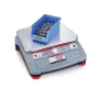 Cân Đếm Điện Tử RC31P30