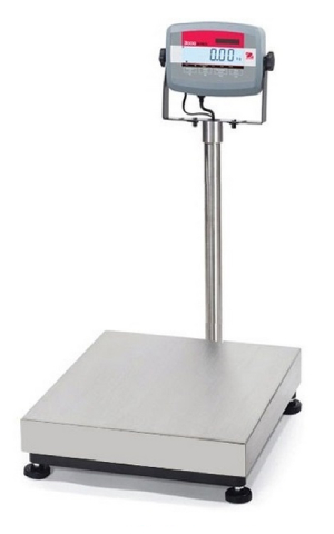 Cân bàn Ohaus T31P